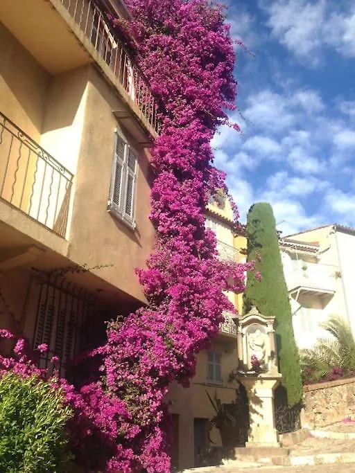 Cannes Centre Charmant 2 Rooms+Mezzanin Daire