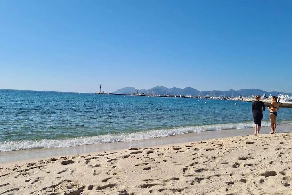 Cannes Centre Charmant 2 Rooms+Mezzanin France